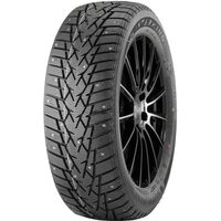 DoubleStar 225/50R17 94T Winterking DW01 (шип.)