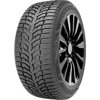 DoubleStar 195/55R16 87H Winterking DW08