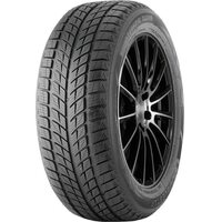 DoubleStar 215/55R18 95H Winterking DW09