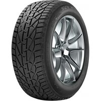 Pirelli Pirelli Formula 195/55R16 87H Winter (2022 г.в.)